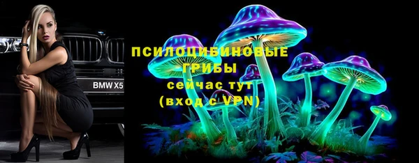 круглые Абаза