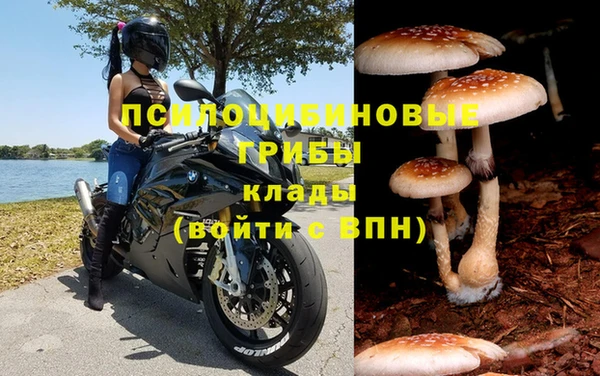 ECSTASY Абдулино