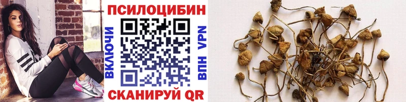 Галлюциногенные грибы ЛСД  Сим 